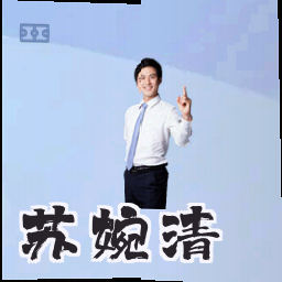 苏婉清